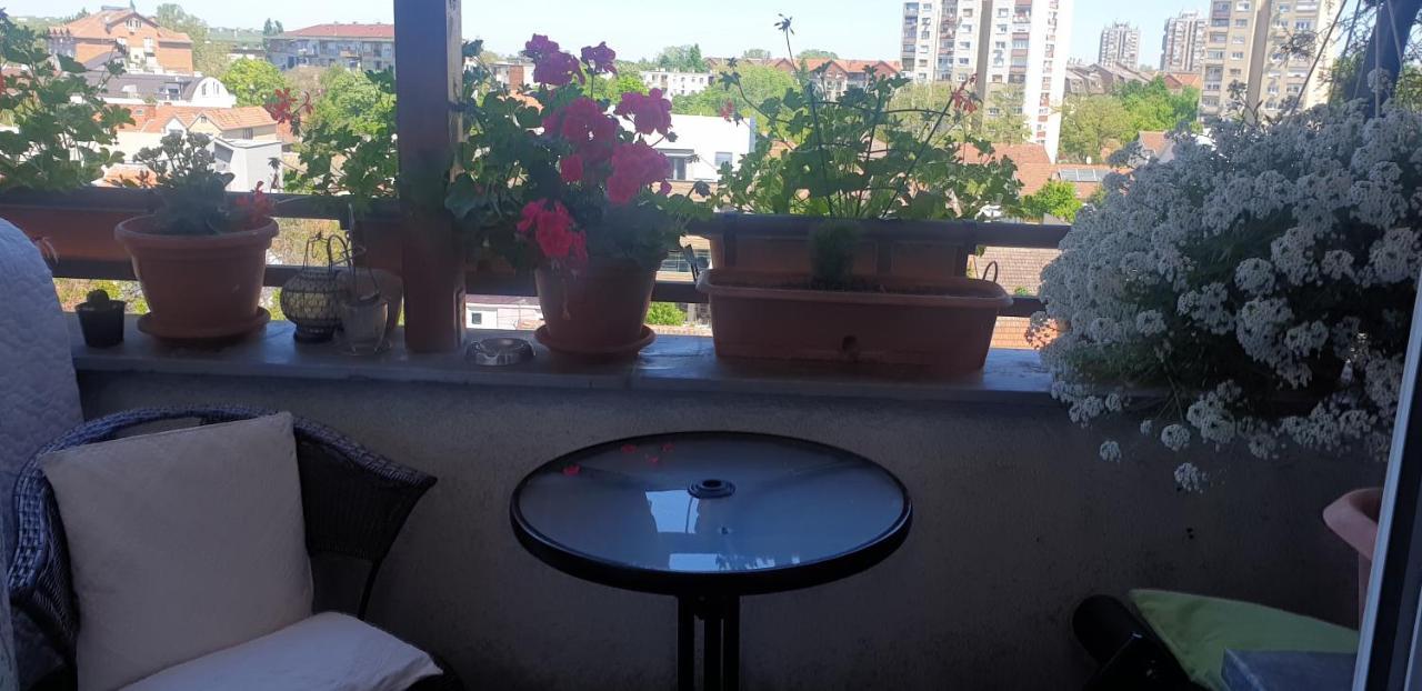 Apartmani Emerald Dream Novi Sad Extérieur photo