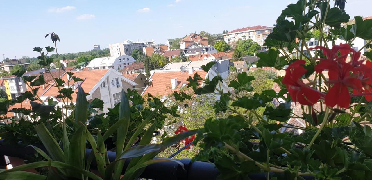 Apartmani Emerald Dream Novi Sad Extérieur photo