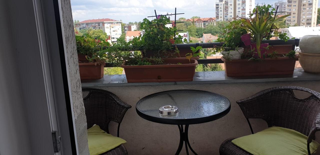 Apartmani Emerald Dream Novi Sad Extérieur photo