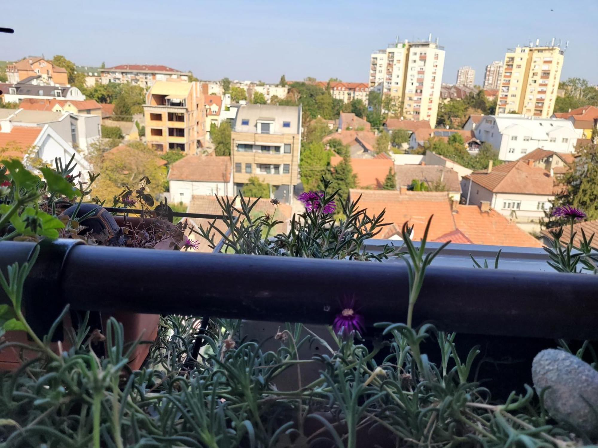 Apartmani Emerald Dream Novi Sad Extérieur photo