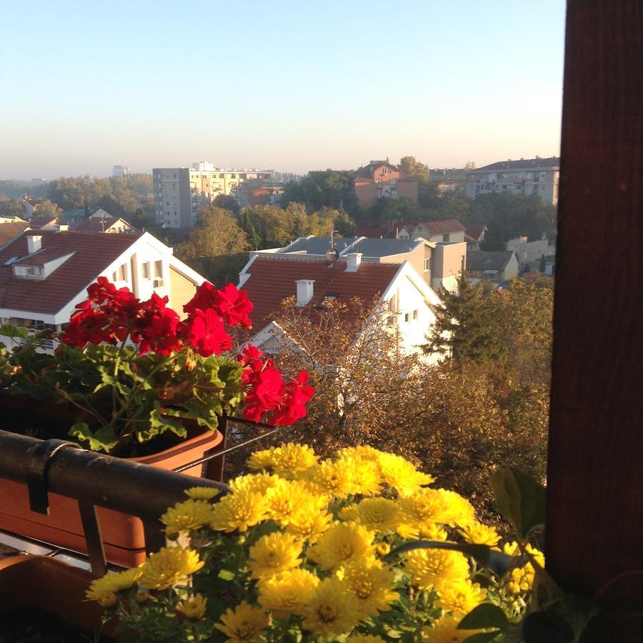 Apartmani Emerald Dream Novi Sad Extérieur photo